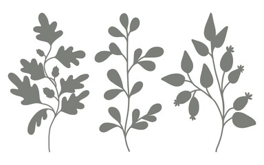 Silhouettes of forest leaves, plants. Perfect for invitations, greetings, cards, covers, posters, scrapbooking, posters, labels, stickers. Vector illustration isolated on white background.
