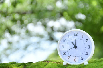 White clock on green grasses
