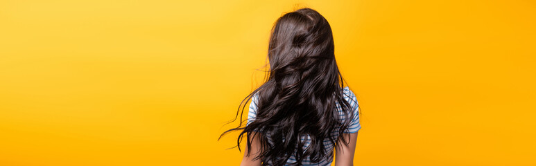 back view of wind blowing through brunette hair of woman with curls isolated on yellow, panoramic...