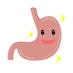 healthy stomach. Smiling stomach cartoon vector