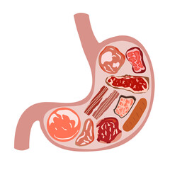 Stomach full of meat,pork,beef and sausage vector