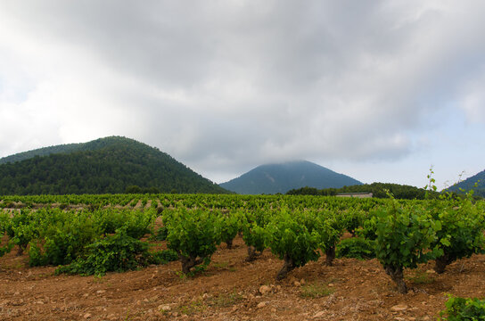 valle del azeniche,bullas Murcia
amanecer con niebla