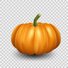 Realistic orange pumpkin icon. Halloween scary pumpkin on transparent background.