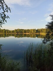 Fototapeta premium autumn in the park