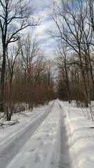 Fototapeta premium road in winter