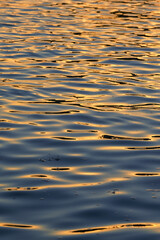Danube river waves at sunset