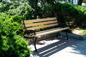 Wooden bench in a green park.