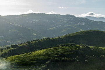 view of the valley of the mountains