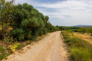 Fototapeta na wymiar Landscape of the august way as it passes through Castellon