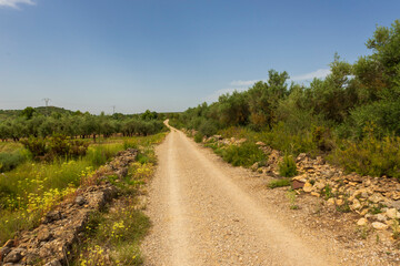 Landscape of the august way as it passes through Castellon