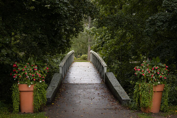 Stairway to the garden