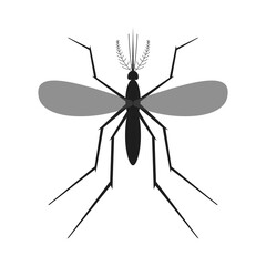 Mosquito icon isolated. Vector silhouette of mosquito insect