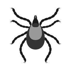 Mite parasites. Insect icon isolated. Black silhouette of mite.