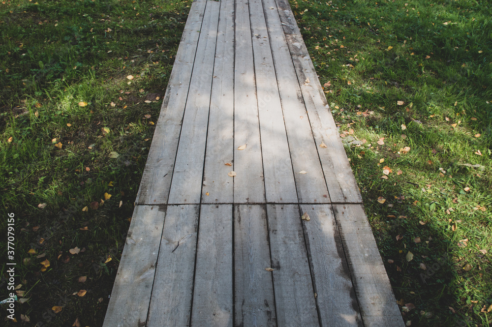 Wall mural wood foot path in the summer forest 