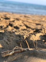 perfect combination of sand sea sun and wood