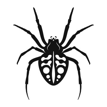 Spider vector icon. Black silhouette of spider. Vector spider logo