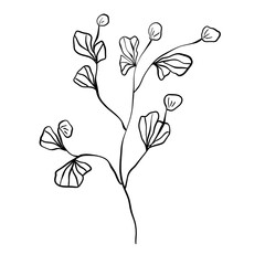 Beautiful monochrome line floral illustration on white background. Hand-drawn leaf. Design greeting card and invitation of holiday. Line art raster illustration.