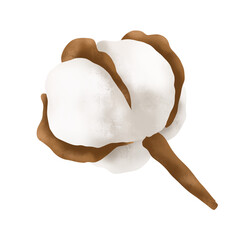 Raster Cotton. Flower illustration on white background. Botanical image can be used for wedding invitation, design template, greeting card, patterns fill.