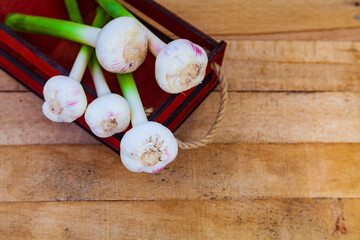 Garlic on a wooden background.