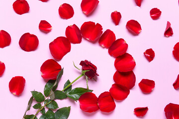 Fototapeta na wymiar Composition with beautiful rose petals on color background