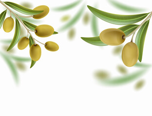 Naklejki  Zielone drzewo oliwne z dojrzałymi owocami. Ilustracja wektorowa.