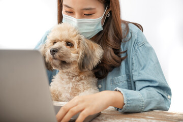 Young Asian woman wearing protective face mask works on a laptop at home office with her dog. During quarantine of coronavirus pandemic outbreak protection. Healthcare and work from home concept.