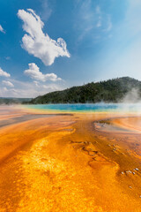 Orange and yellow bacterial mat at Grand Prismatic spring contrast with the blue hot spring vaporizing hot steam in the air - Yellowstone National Park, WY, USA