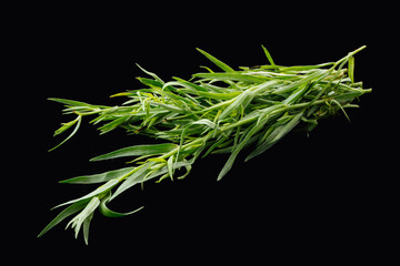 PSD black isolated green sprigs of tarragon herb