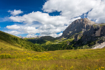 Fototapeta na wymiar Panorama picture of a typical Alpine landscape in the Italian Alps: green pastures with wildflowers are surrounded by high Dolomite peaks visible in far distance. Val Venegia, Trentino, Italy