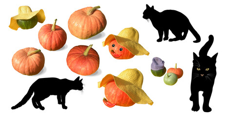 Set of nine pumpkins and a silhouette of a 3 black cat isolated on a white background, attributes for Halloween, Jack lamp material