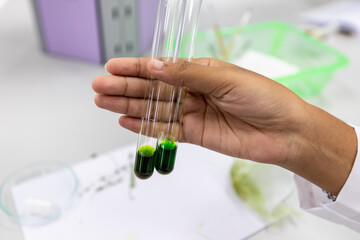 Study of Chromatography is used to separate components of a plant.
