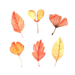 Hand drawn watercolor vector illustrations. Autumn Botanical clipart. Fall leaves, herbs and branches. Floral Design elements. Perfect for invitations, greeting cards, blogs, posters, prints