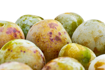 Closeup of spotted yellow, green and orange coloured Wichter plum. The Wichter is an old plum variety and related to the yellow kroosjespruim. It grows in the north of the Netherlands.
