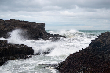 Fototapeta na wymiar Huge waves crashing against the rocks at Piha beach, Waitakere, New Zealand