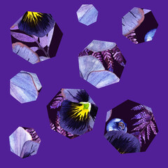 Seamless pattern with pancy and blueberry in heptagones isolated on violet background 