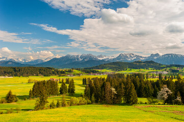 Obraz premium Panorama im Allgäu mit Wiese und Bergkette