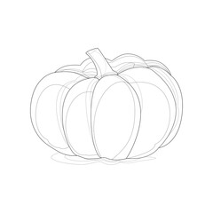 Autumn vegetable Pumpkin. A sketch on a white background for Halloween. Vector file, black and white.