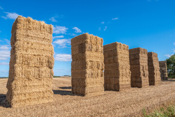 Hay bales stacked high in a line