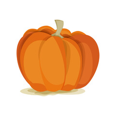 Autumn vegetable big orange pumpkin on a white background. Halloween. Vector file.