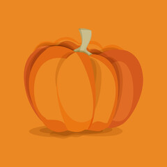 Autumn vegetable big orange pumpkin on a orange background. Halloween. Vector file.