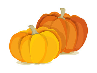 Autumn vegetable. Two large pumpkins on a white background. Halloween. Orange and yellow.