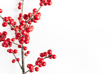 Minimal seasonal composition. Pattern of branch with red berries on isolated white background. Christmas holidays, winter concept. Copy space.