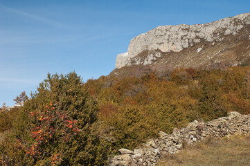 Cliff and shrubland in the Pyrenees of Huesca. Aragon. Spain.