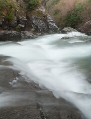 Naklejka premium Bellos River in the Ordesa and Monte Perdido National Park. Añisclo Canyon. Pyrenees. Huesca. Aragon. Spain.