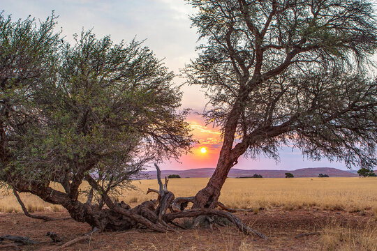 Namibia atardecer en twyfelfontein