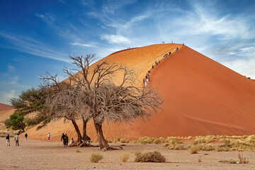 Namibia Desierto de Namib