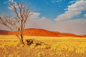 Namibia Desierto de Namib