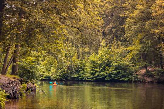 boy in life jacket doing nature sports canoeing, with a orange canoe on wild river in a autumn color theme. forest scene with river bend use as nature wallpaper