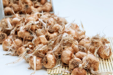 Saffron bulbs in a box on a white background. Crocus sativus bulbs are scattered on table.