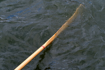 Oar of boat touching water. Wooden paddle for rowing.